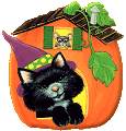 Cat and Pumpkin