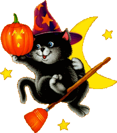 Cat on Broom